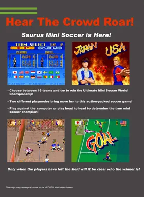 Pleasure Goal / Futsal - 5 on 5 Mini Soccer box cover back